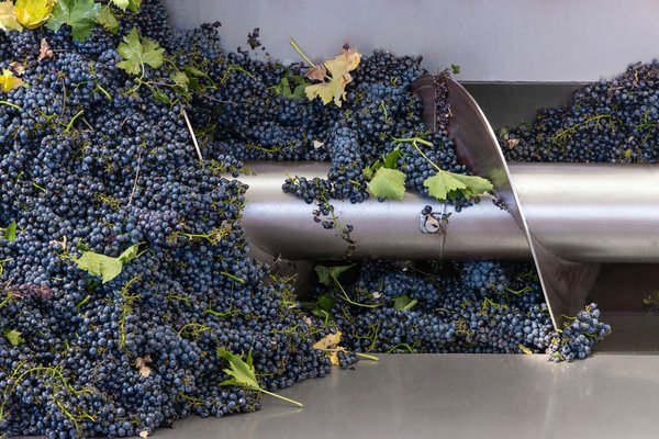 Comment organiser une visite des vignobles de la vallée de Napa en Californie ?